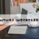 pg与pp电子（pp电子是什么意思）